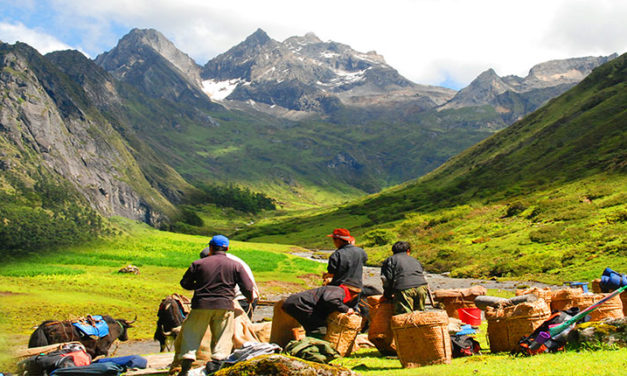 Experience Amazing Trekking with Us