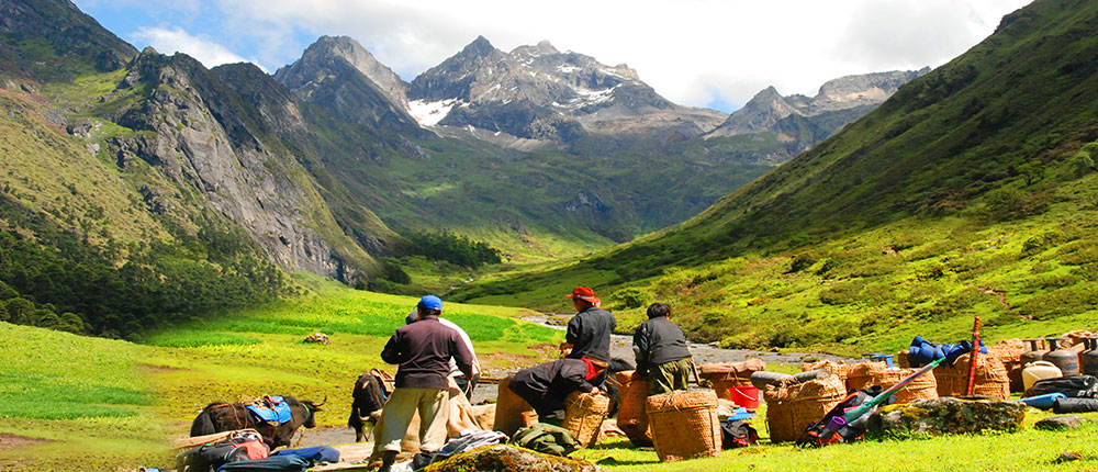 Experience Amazing Trekking with Us
